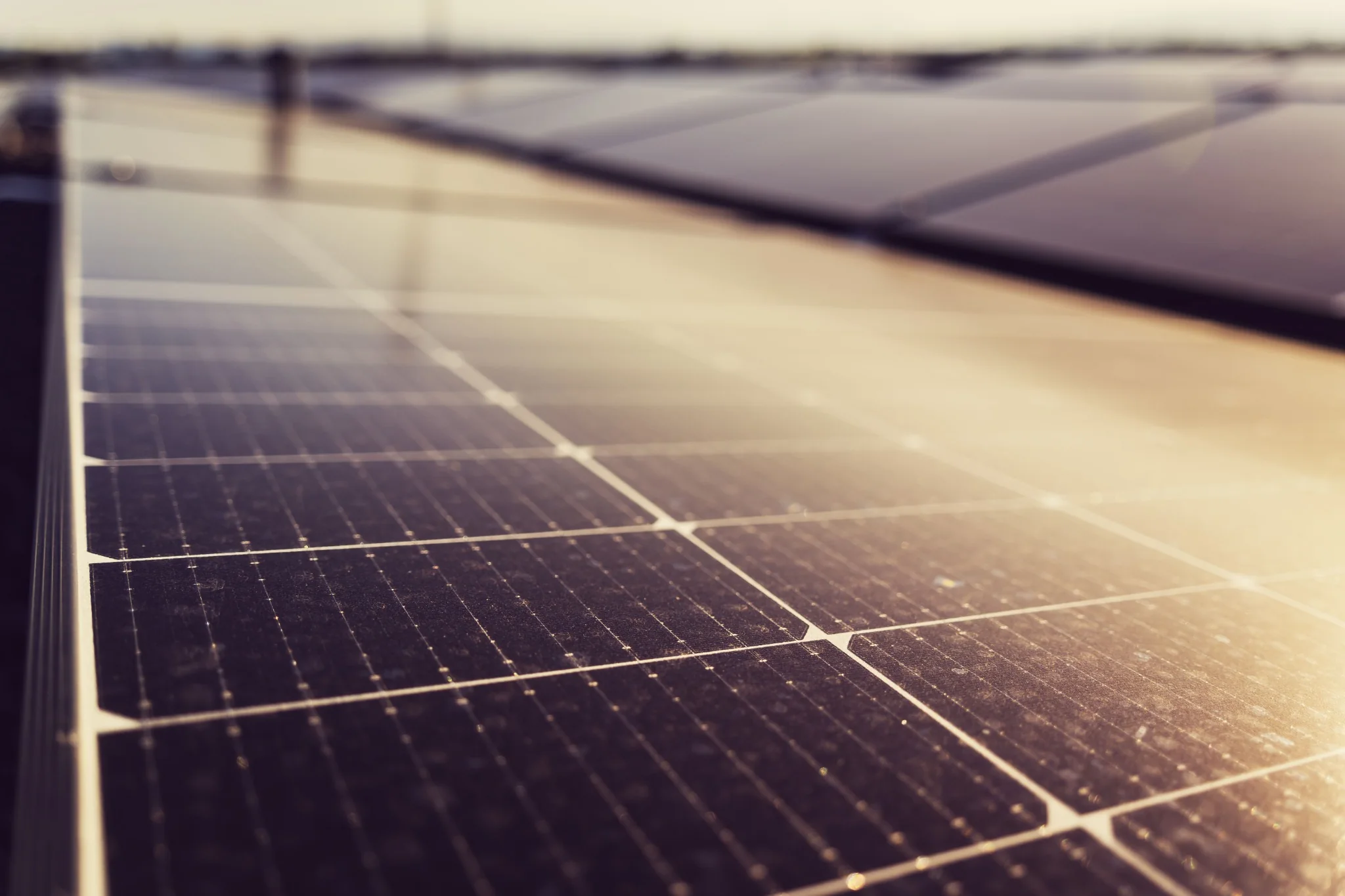 Photovoltaic panels in warm sunlight.